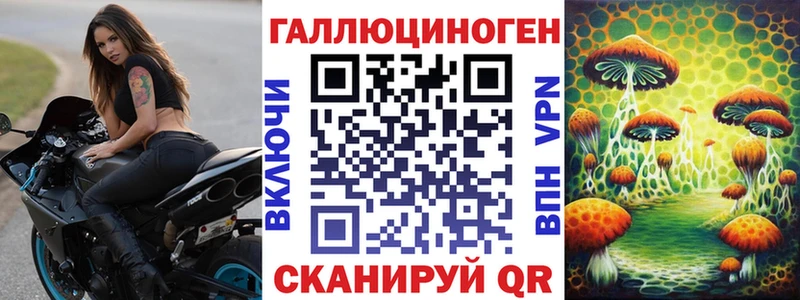 Купить  Славгород  Галлюциногенные грибы мицелий 